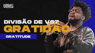 Divisão de Voz - GRATIDÃO (Gratitude) ADAI MUSIC - #VozPorVoz
