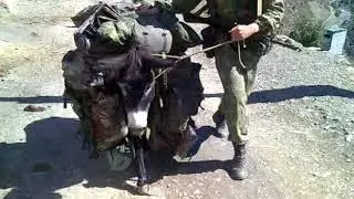 Срочно. Новое оружие России.