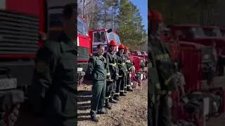 Петриковский лесхоз