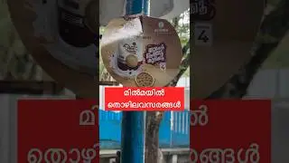 മിൽമയിൽ തൊഴിലവസരങ്ങൾ | Job Vacancy in MILMA 2024 | Technician Grade II Openings | Apply Now!