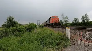 ACC leader! VIA 64, CN M305, and CN B730 at Kidd road.