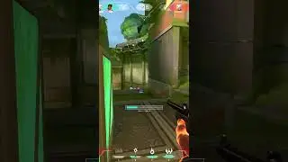 Valorant - Marshal (Quad Kill)