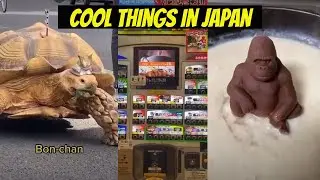 When in Japan &copy;sugoimart | INTERESTING & COOL STUFF | TIKTOK COMPILATION