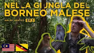 Il meglio del Borneo Malese | Il Sarawak tra Kuching e il Bako National Park