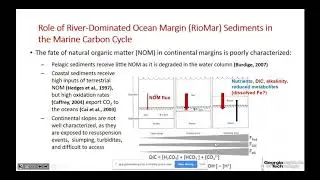 Role of Benthic Biogeochemical Processes in Primary Production and Ocean Acidification