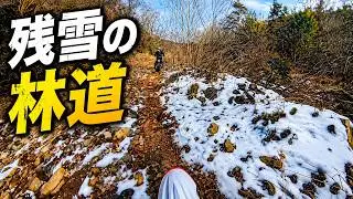 【WR250R】フォレスト林道ツーリング2025/1/19「白竜湖」【YAMAHA】【JAPAN】