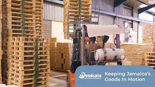 Woodcats IPO: Invest in our 27-Year Story