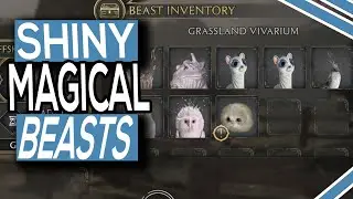 You Can Get SHINY Pets In Hogwarts Legacy