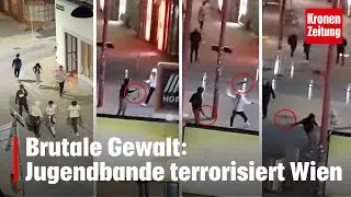 Jugendbande terrorisiert Wien: Gewaltorgie-Video | krone.tv NEWS