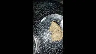 EXPLORING GARDEN SAND UNDER THE MICROSCOPE | MICROSCOPY OF GARDEN SAND