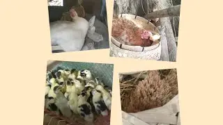 SUMMER HEAT BENEFITS SA MGA ALAGA