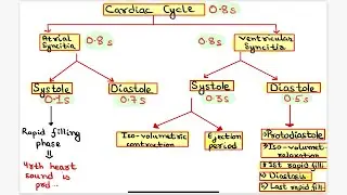 CARDIAC CYCLE. KEET IT SIMPLE