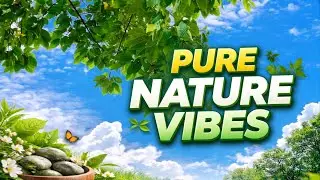 Pure Nature Vibes | Blue Sky, Green Leaves & Inner Peace