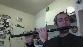 Jenny's Chickens - Irish Flute - slow/fast