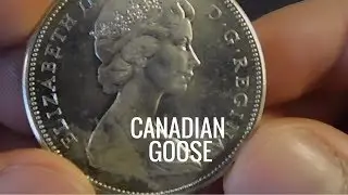 Silver History Sunday - Goose Dollar