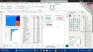 DA3  PowerBI   Executive Summary  Day 17