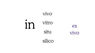 What is in vivo, in vitro, ex vivo, in situ , and in silico?