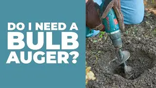 🌷 Should You Own a Bulb Auger? #gardentips #gardentools #fallgardening