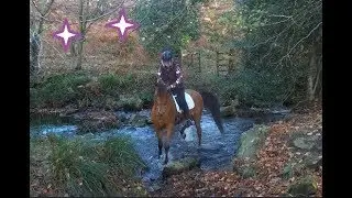 Arabian horse and Running Man on the North York moors Part 2