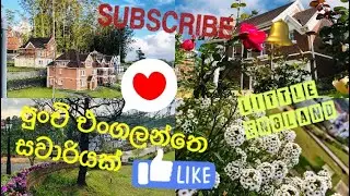 The Little England Cottages#short video#