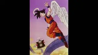 For the DBZ community