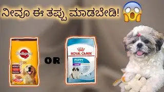 Which pet food is best?🤔🤑| Pedigree or Royal canin?| Kannada Vlogs #youtube #shihtzu #food