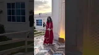 Shop Viral Pakistani Suits in Dubai, UAE, Abu Dhabi | SALWAR MAHAL Online Store | Code L020