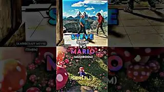 Steve vs Mario