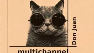 multichannel aka leigh johnson  - Don Juan ( techhouse )