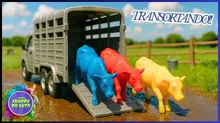 INCRÍVEL transportando os coloridos no caminhão bitrem!