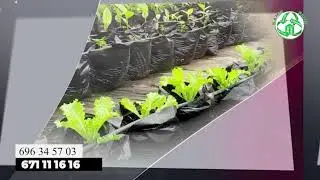 L'AGRICULTURE SOUS UNE AUTRE FORME
