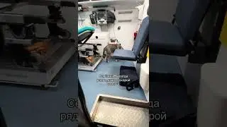The dog even helped the man in the ambulance. #dogrichard #shots #dogs