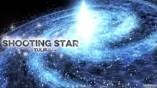 【SHOOTING STAR】TULIP cover