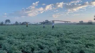 Sprinkle changing at farm