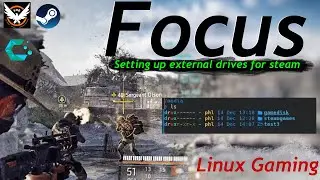 @roninkaze | #455 | Focus on companions AND Steam external drives | The Division 2
