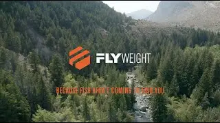 The Simms Flyweight Collection