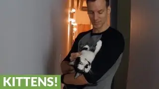 Do cats miss us when we leave? Check THIS out!