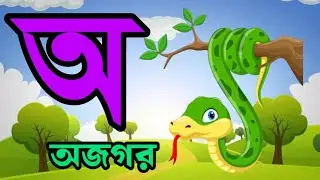 Bangla alphabet | First School Learning | অ আ ই ঈ | বাংলা বর্ণমালা শিক্ষা | 