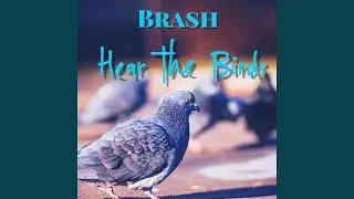 Hear the Birds