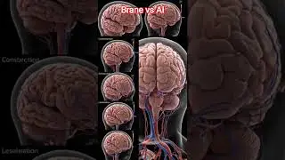 differences between ai and human brane system #education #class12thbiologypaper2026cbscboard