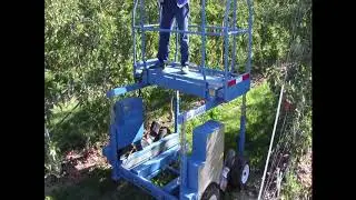 Blueline EPS Electric orchard platform