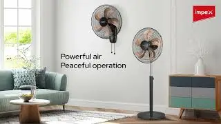 Impex Metadio Fans | Stylish Black Gold Fan with Powerful Performance