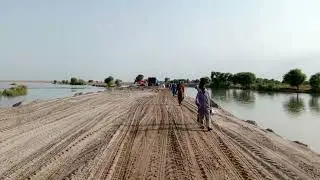 Flood in sindh | Idus river flood in sindh | Flood update of Indus River in Sindh