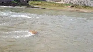 Visit to River POONCH
