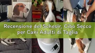 Recensione del Schesir, Cibo Secco per Cani Adulti di Taglia Grande al Gusto Pollo, Linea Mantenimen