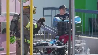 Exotic animals killed in fire at Dallas shopping center, officials say