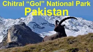 Chitral Gol National Park