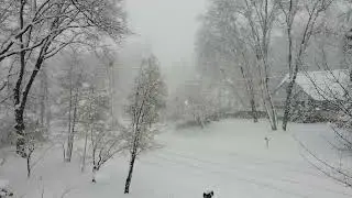 Snow storm drone flight in Mt Shasta City, California