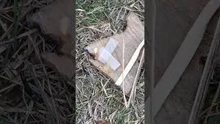 Glass fire starters?!?!?! #bushcraft #survival