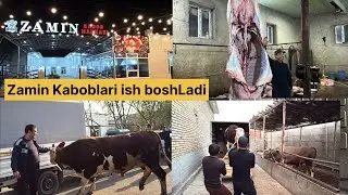 Zamin kabop markaziga hush kelibsiz 